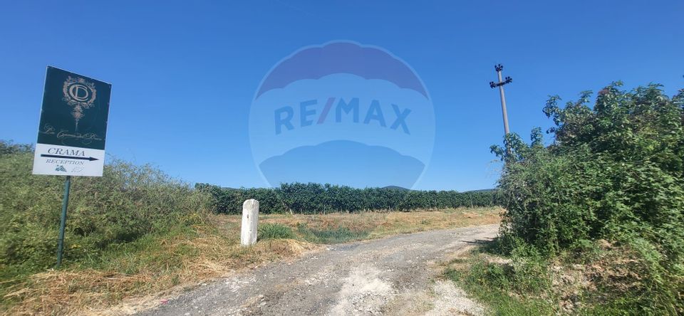 Land 50,500sqm Siria / DJ 709