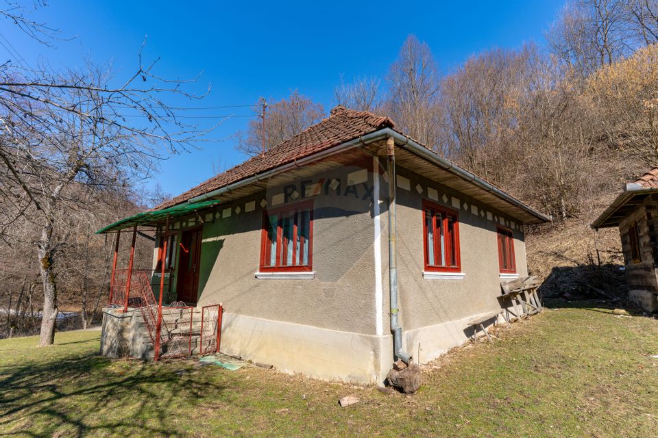 Casă taraneasca  in Merisor /Rovina, jud. Hunedoara