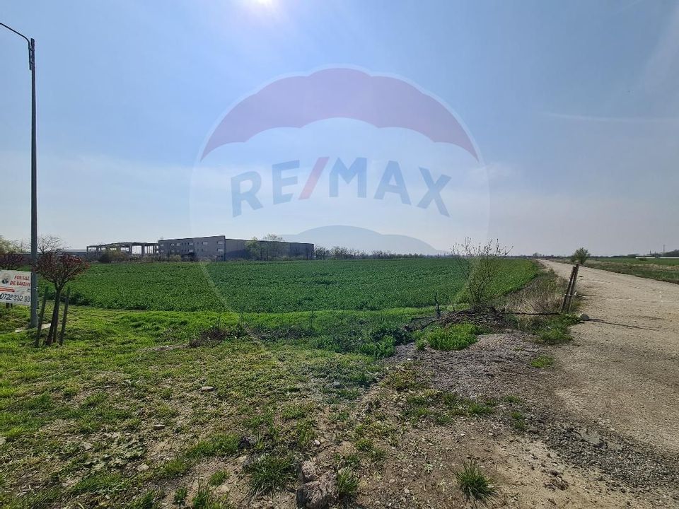 Land 10000 sqm Branesti-Islaz DN3 All Utilities Industrial Area