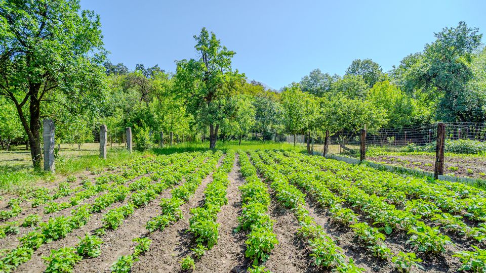 4 room House / Villa for sale