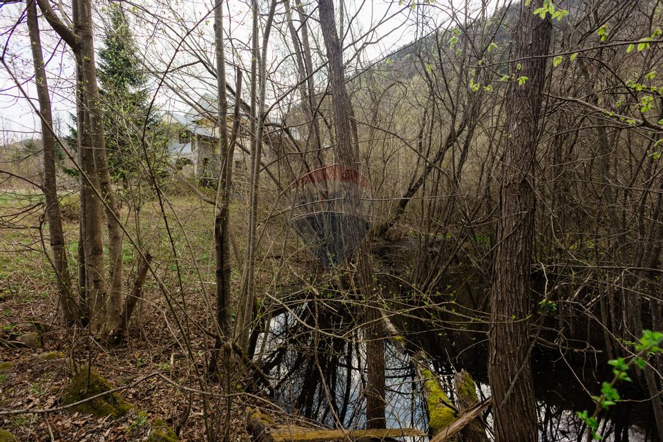 Proprietate unică în Tarcău – 30.283 mp intravilan, casă P+M