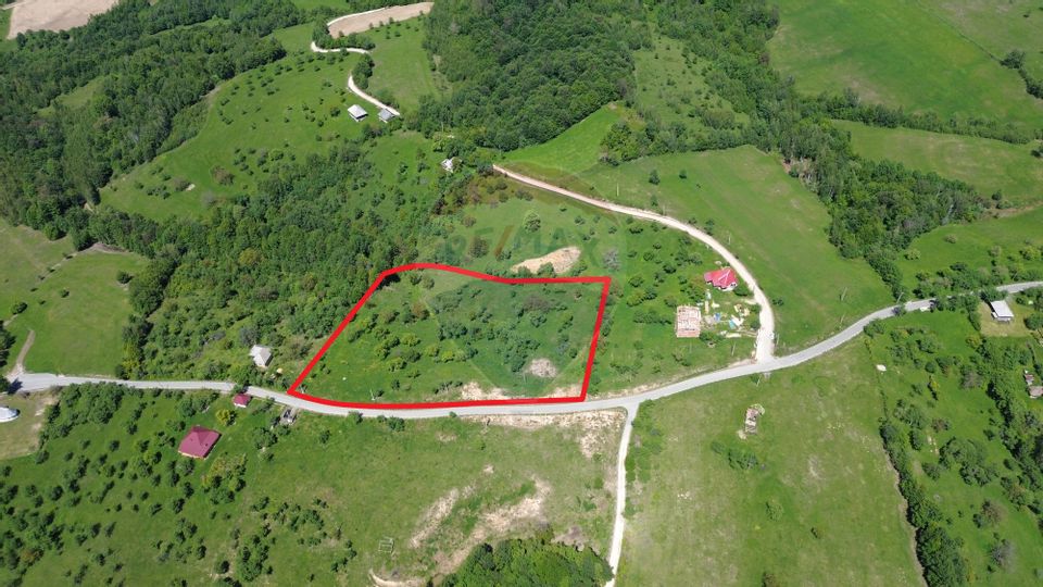 TEREN DE VANZARE SE ACCEPTA SCHIMB CU PROPRIETATI ÎN ORAS