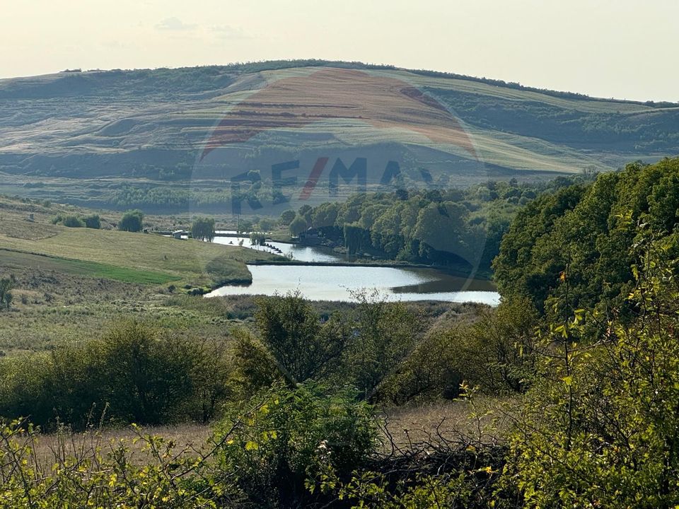 Land 50,000sqm Caianu-Vama / Strada Principala