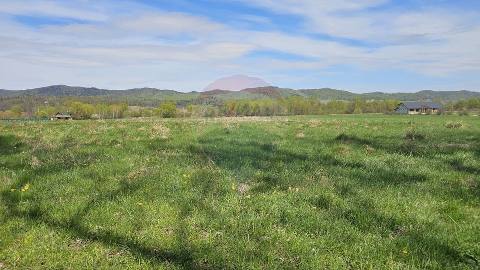 Land 10,000sqm Nemtisor / DJ 155C