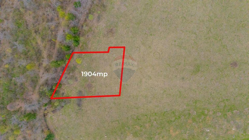 Teren Crizbav 1904 mp/PUZ/Langa Padure/Intravilan