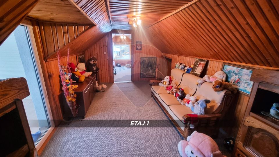 10 room House / Villa for sale, Central area