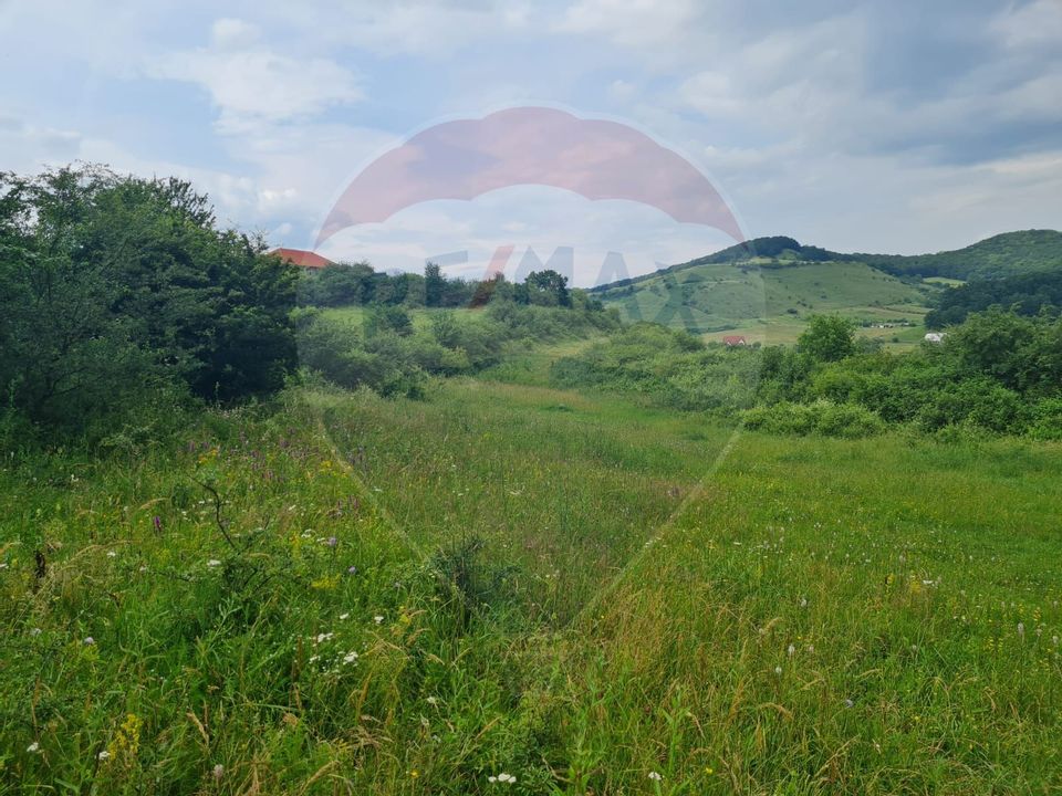 Land 1,700sqm Floresti / Strada Alexandru cel Mare