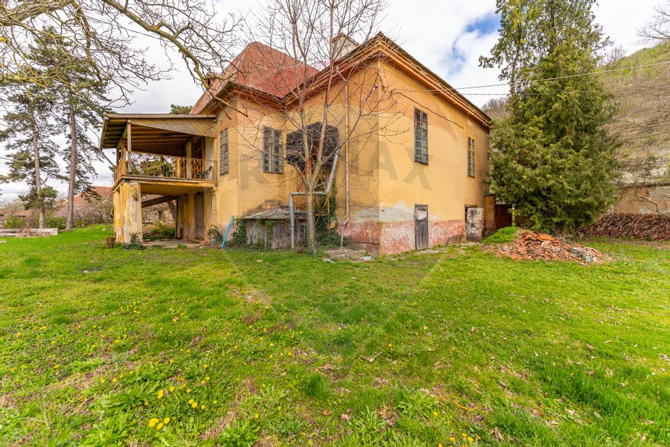 Conac aristocratic secolul XIX , domeniu  2,5 hectare — Păuliș, Arad