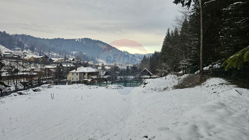 Teren in Bucovina, intravilan 3824 mp Deia-Frumosu, Suceava