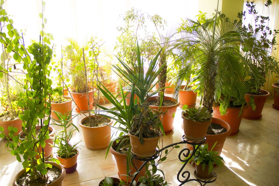 Hotel de vanzare Buftea IF –Cu 40 de camere