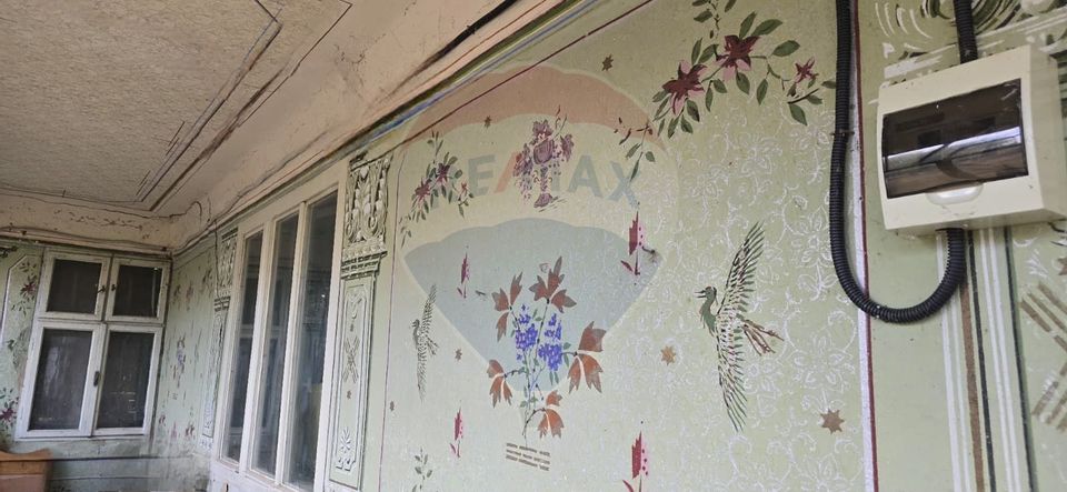 Teren si casă cu teren generos în Socodor