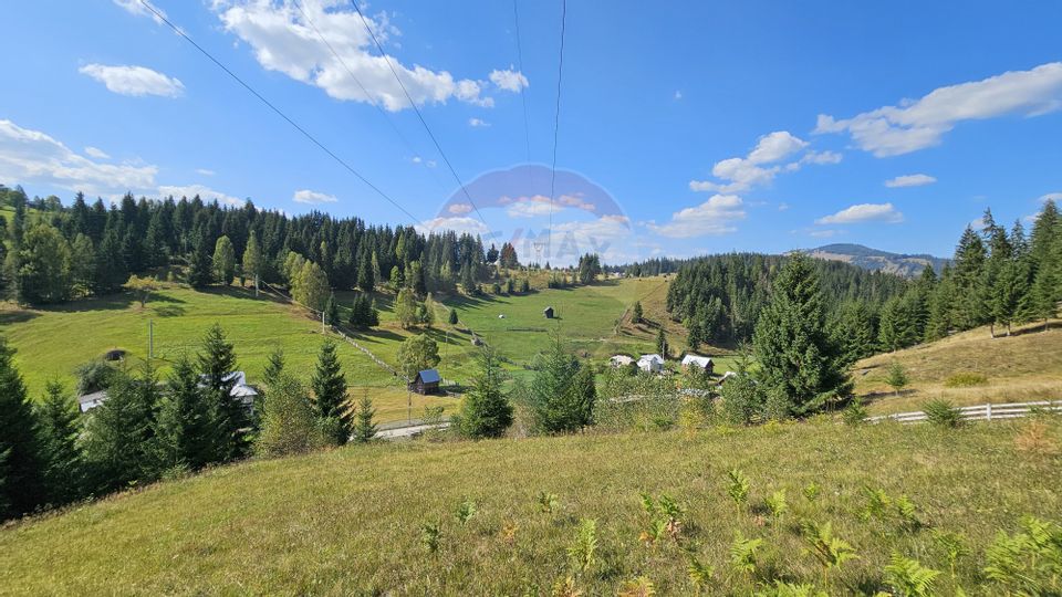 Casă / Vilă de vacanta in Dorna Arini, Suceava