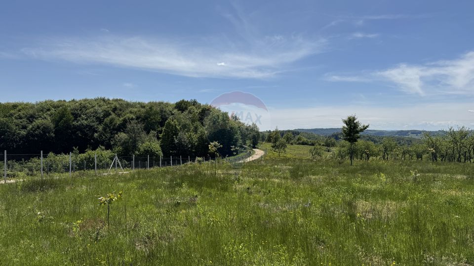 TEREN DE VANZARE SE ACCEPTA SCHIMB CU PROPRIETATI ÎN ORAS