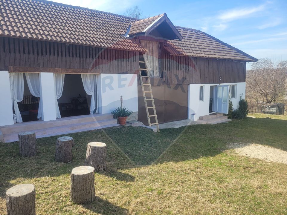 Vânzare casa la munte - zona turistica - Baia de Fier