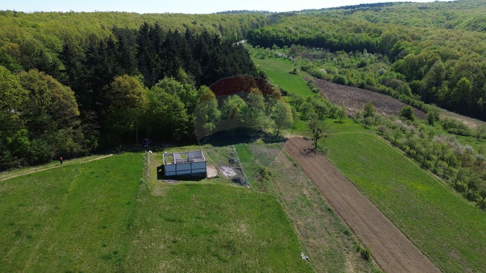 3 room House / Villa for sale