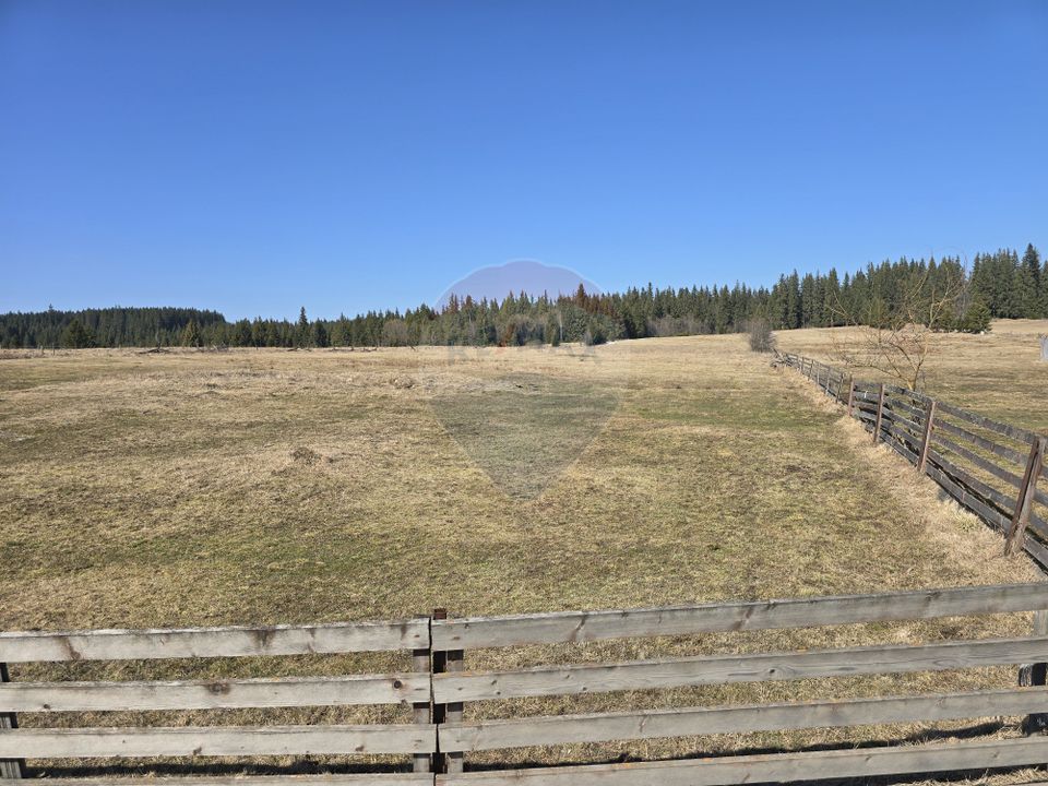 Land 23,765sqm Poiana Stampei / Strada CASOI