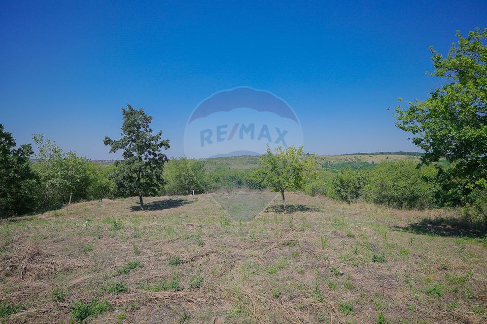 De vânzare casă cu un proiect deosebit, la roșu , Str. Gheorghe Doja