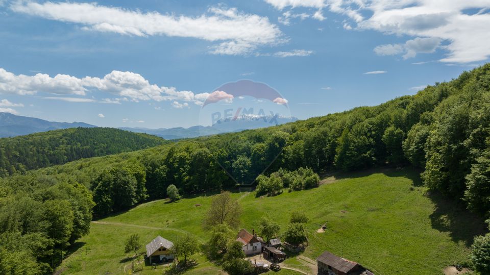 Land 5,310sqm Colonia 1 Mai / None