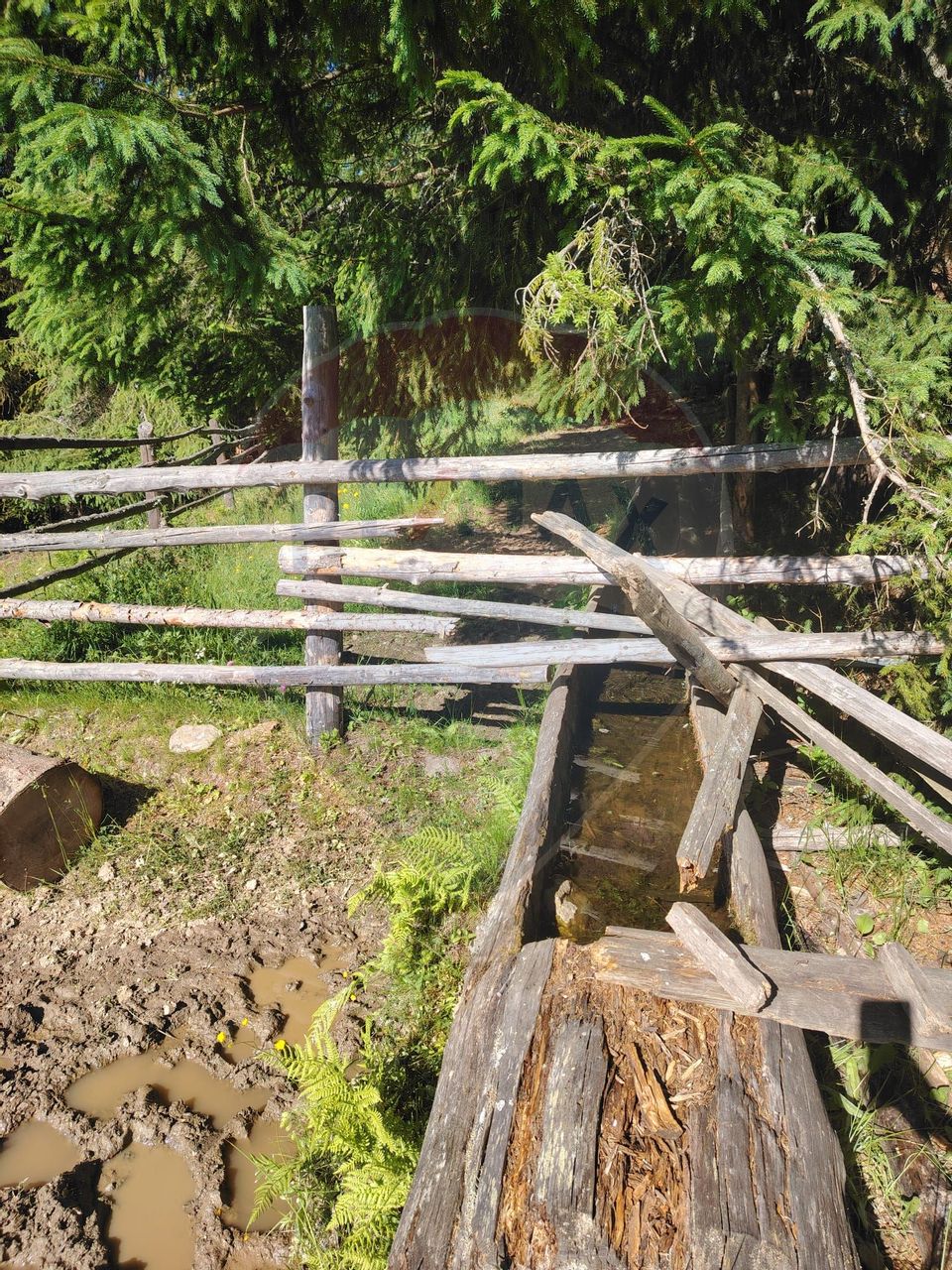 Teren 24,581mp Panaci / Strada Mihăileț