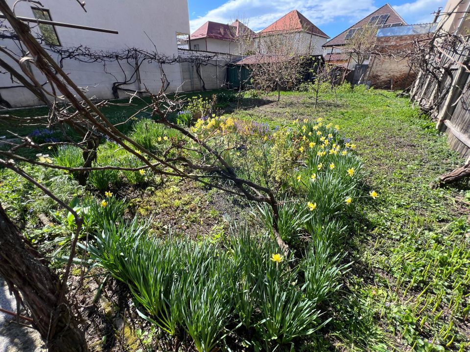 Apartament la casa de vanzare