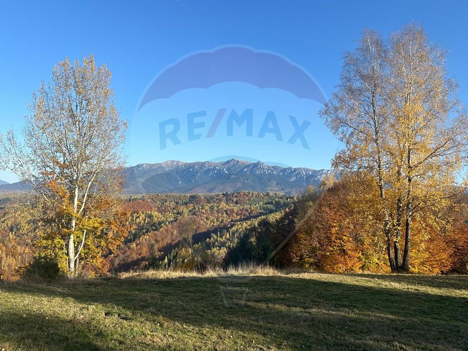 Investment opportunity ! Dream land in Pestera - 125,370 sqm