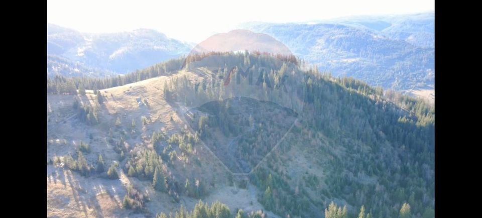 Teren 31,461mp Panaci / Prelungirea Ialovita