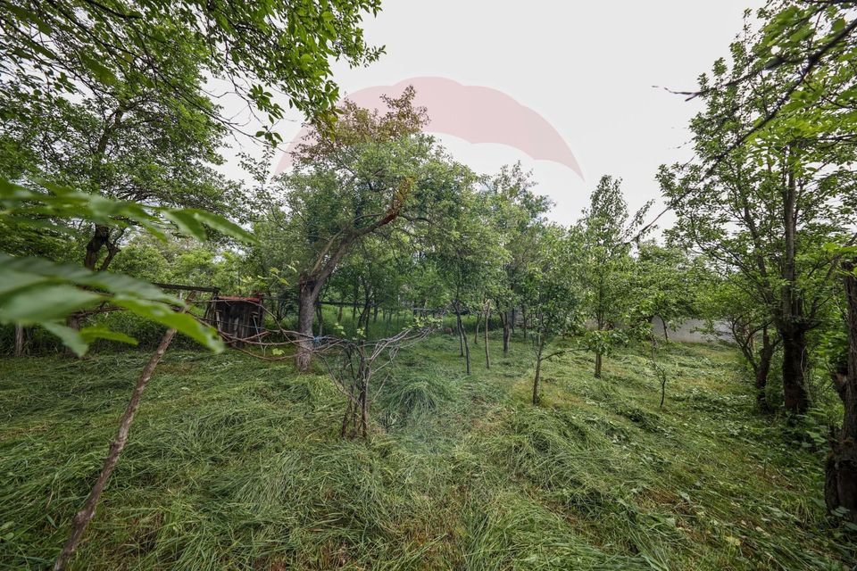 Casă de vacanta, cu annexe si pomi fructiferi, Ungra!