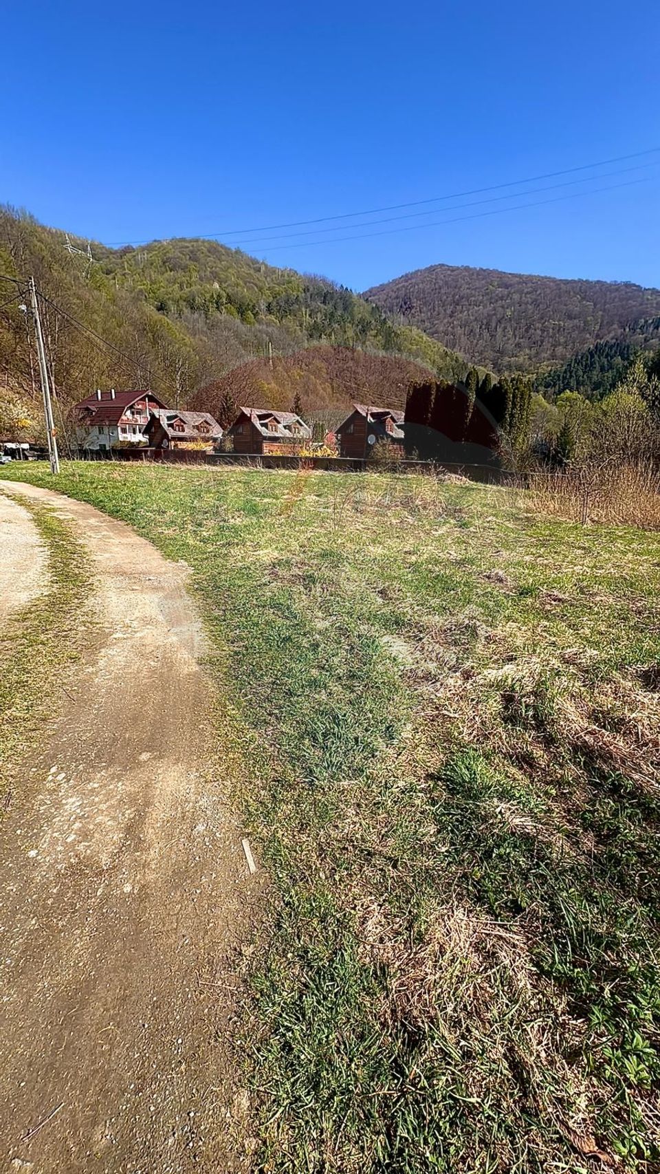 Teren Tarnița / Lăpușești