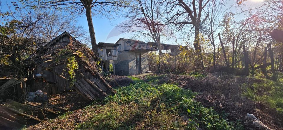 Casă / Vilă de vânzare/Ciuslea