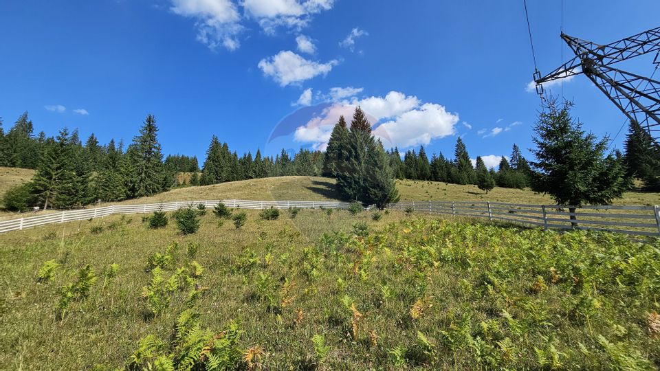 Casă / Vilă de vacanta in Dorna Arini, Suceava