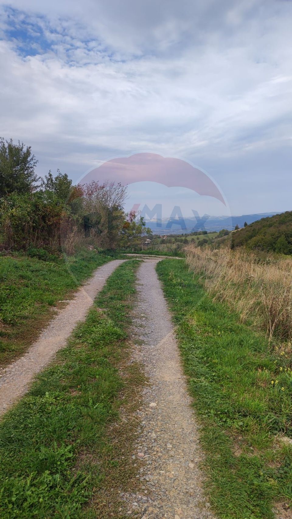 Teren constructii si faneata/livada 3082 mp Damis Bratca drum DJ 764D