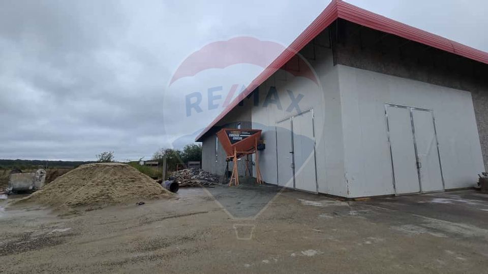 DE VÂNZARE Hala productie/depozitare