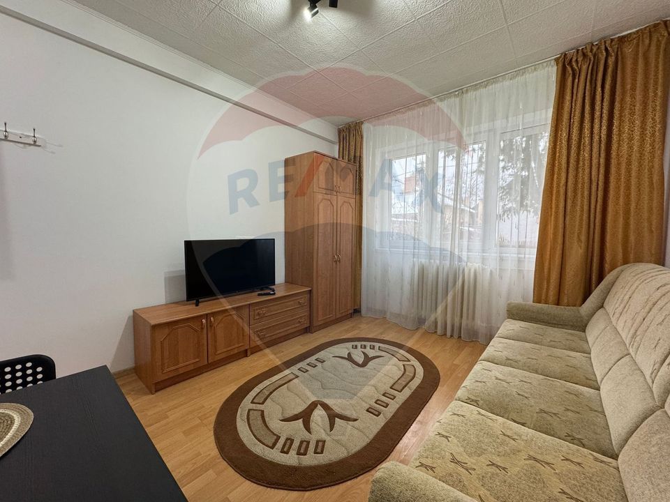 1 room Apartment for rent