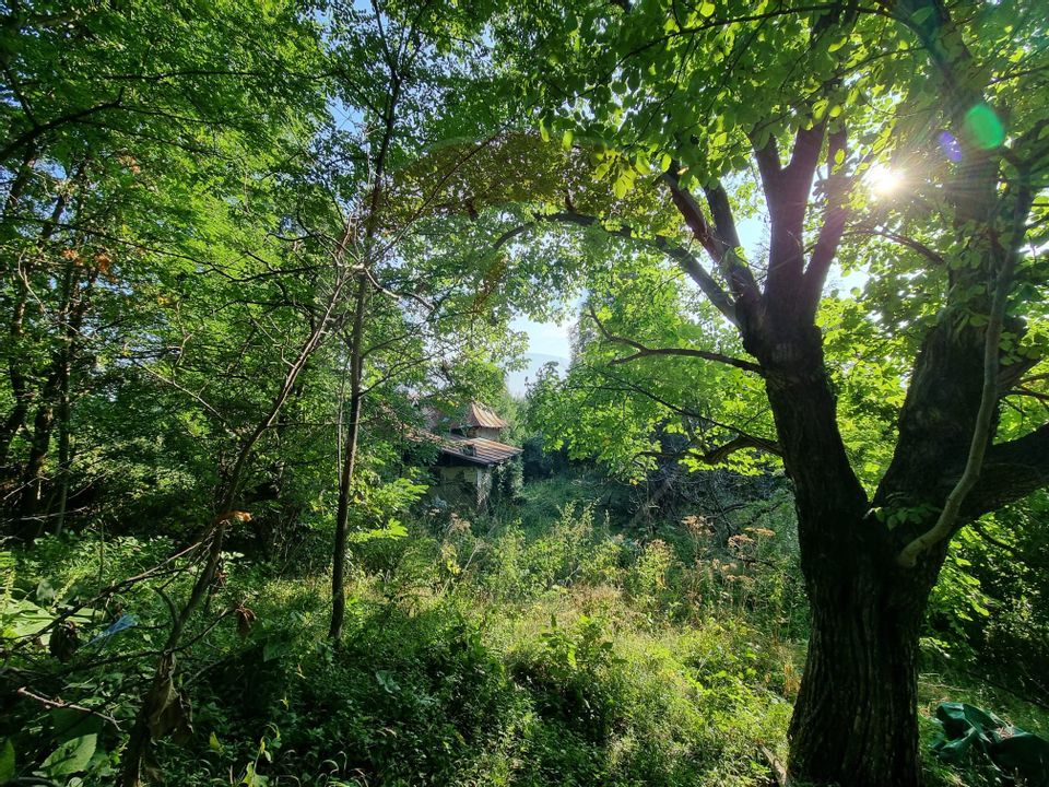 Teren cu Casa Veche in suprafata de 6000 mp, Breaza de Jos -Parcelabil