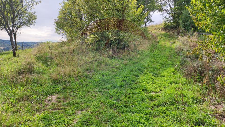 Teren intravilan constructii 3082 mp Damis Bratca drum DJ 764D