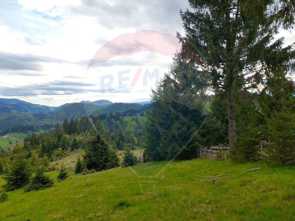 O fereastră către cer – teren de vis în Fundata, la poalele Bucegilor