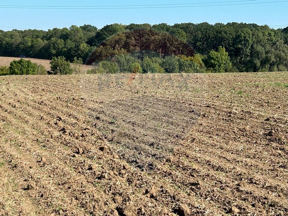 SALE land within the built-up area Dumbraveni/Balotesti/str. Lahovari