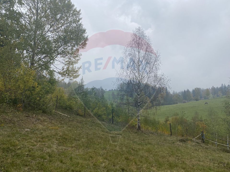 Land 8,119sqm Calatele / Strada Calatele Padure