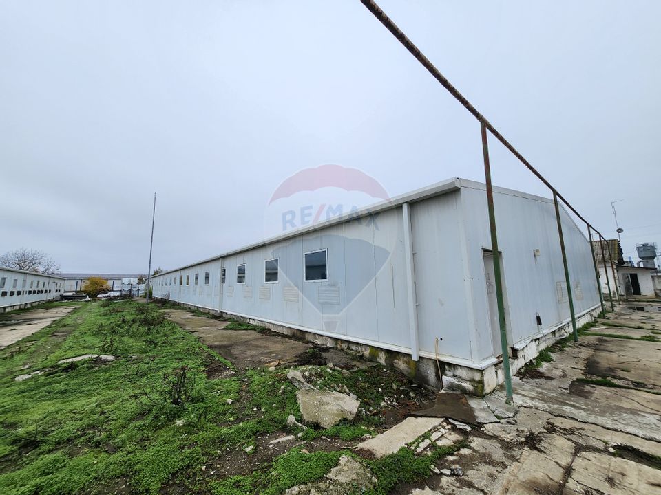 Hala depozitare sau productie Ciorogarla | Darvari 2.9 E/mp