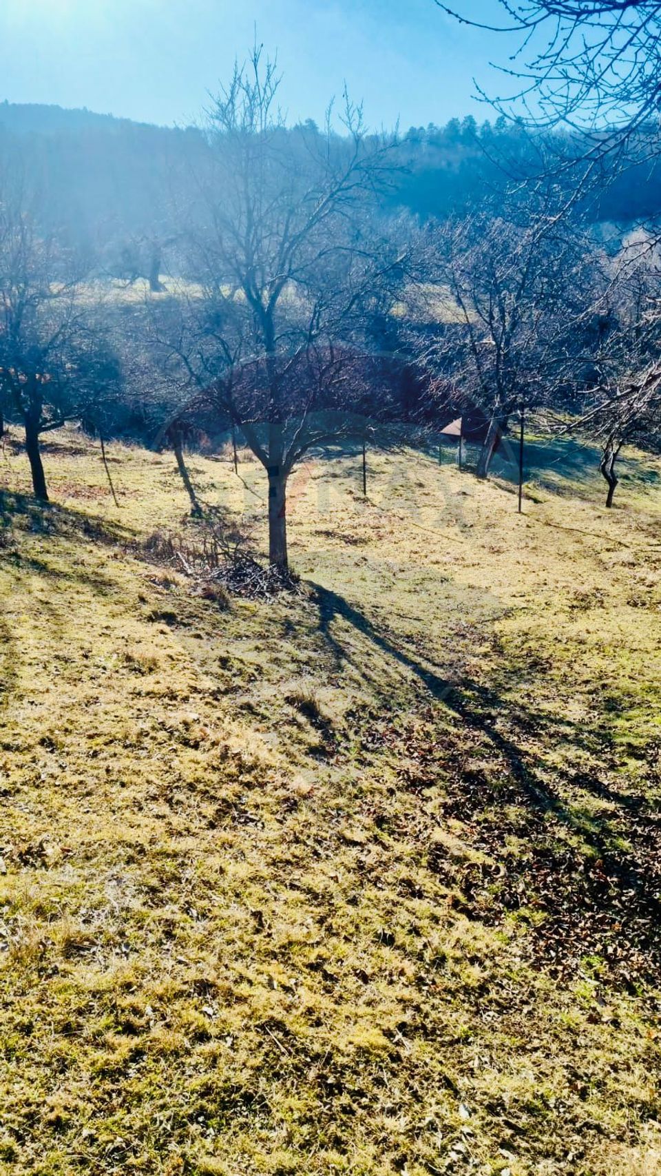Teren Extravilan in Rasinari 799mp