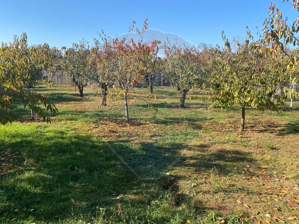 Land 1,520sqm Paulestii Noi / Calea Unirii