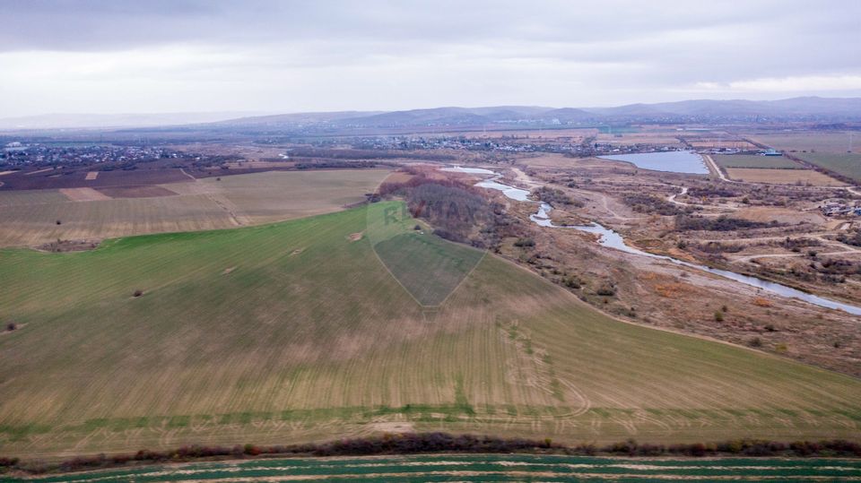 Land 310,000sqm Catunu (Berceni) / Intrarea tarla 17