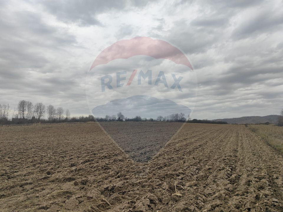 Land 11,900sqm Fardea / Drumul principal