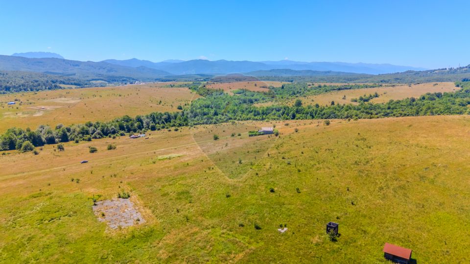 COMISION 0% Teren de 750 mp/ proiectul LaDumbrava