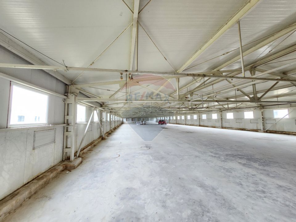 Hala depozitare sau productie Ciorogarla | Darvari 2.9 E/mp