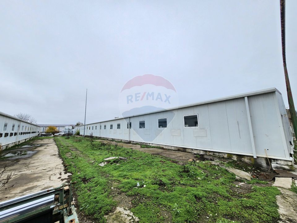 Hala depozitare sau productie Ciorogarla | Darvari 2.9 E/mp