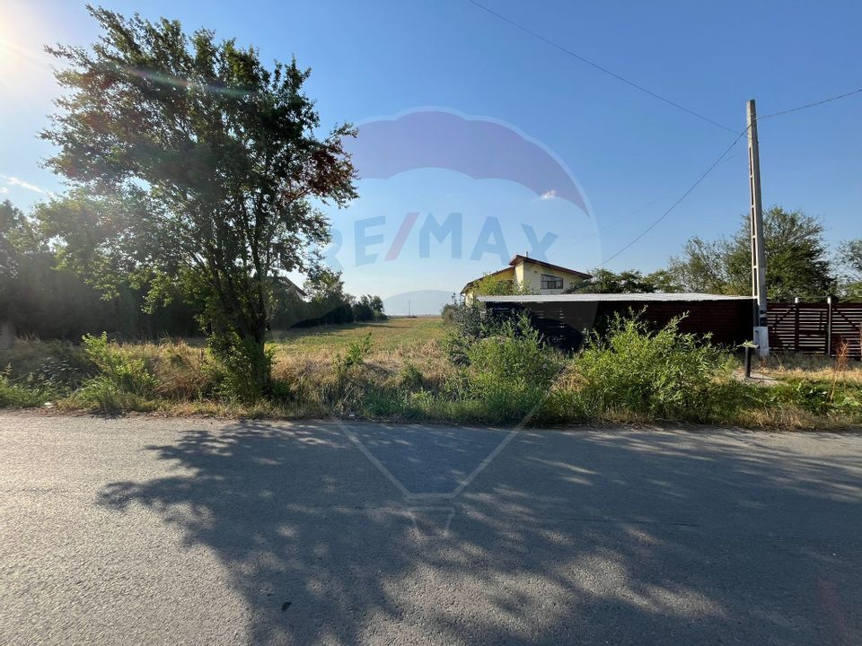 Construction land, 2500 sqm, Com Plataresti, Calarasi County