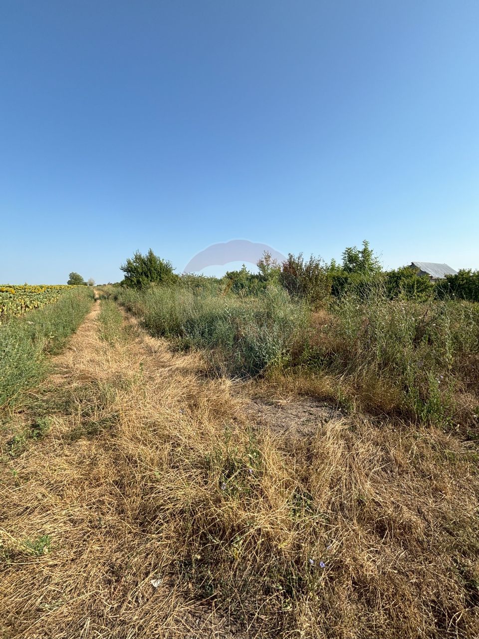 Teren Tartasesti langa complex Buna Ziua