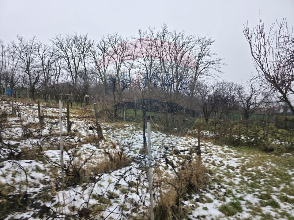 Land 4,516sqm Doina / Strada PRINCIPALA