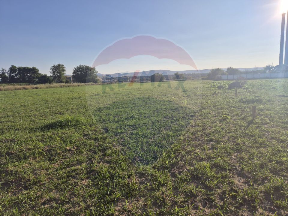 Teren 5,000mp Rusi-Ciutea / Strada Margaretelor